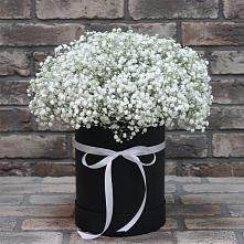 Цветочная композиция из Гипсофила в шляпной коробке в Старые Атаги