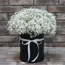 Цветочная композиция из Гипсофила в шляпной коробке в Старые Атаги