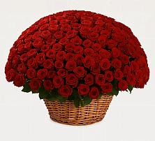 Премиум букет из: Розы в Старые Атаги