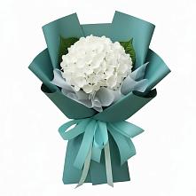 Букет цветов из:  Гортензия в Старые Атаги